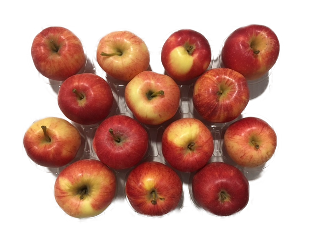 (image for) Apple Gala 72-88ct (apx 40lb) AF Req